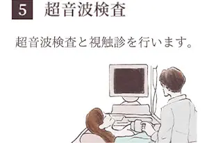 5.超音波検査（エコー検査）
