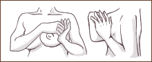 マッサージをする手のひじをゆっくり下げながら、親指のつけ根あたりで、お乳の脇の方から斜め前方へ こすりあげる様な感じでマッサージをする。これを3回繰り返す。
