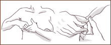 片手で（この図では左手）でお乳を支え、もう一方の手の親指、人差し指、中指の3本で乳輪から乳頭をやさしくつまみます。