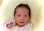 せなちゃん