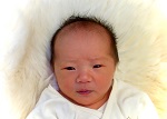 はるひちゃん