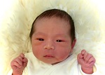 こうやちゃん