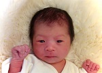 わたるちゃん