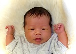 わくちゃん