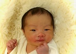 こはくちゃん