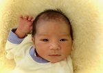 えんぞうちゃん