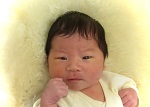 かいせいちゃん