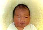 はるとちゃん