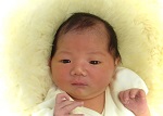 せいなちゃん