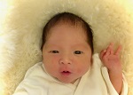 しゆうちゃん