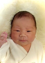 あおとちゃん