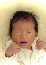 やまとちゃん